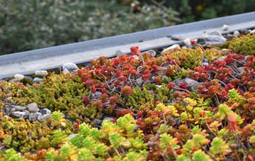 the cost of Lamington green roof installation