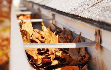 Lamington gutter cleaning companies
