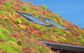 Lamington living roof systems