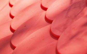Lamington plastic roof costs