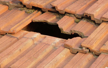 roof repair Lamington