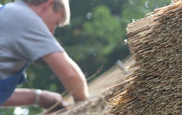 professional Lamington thatchers